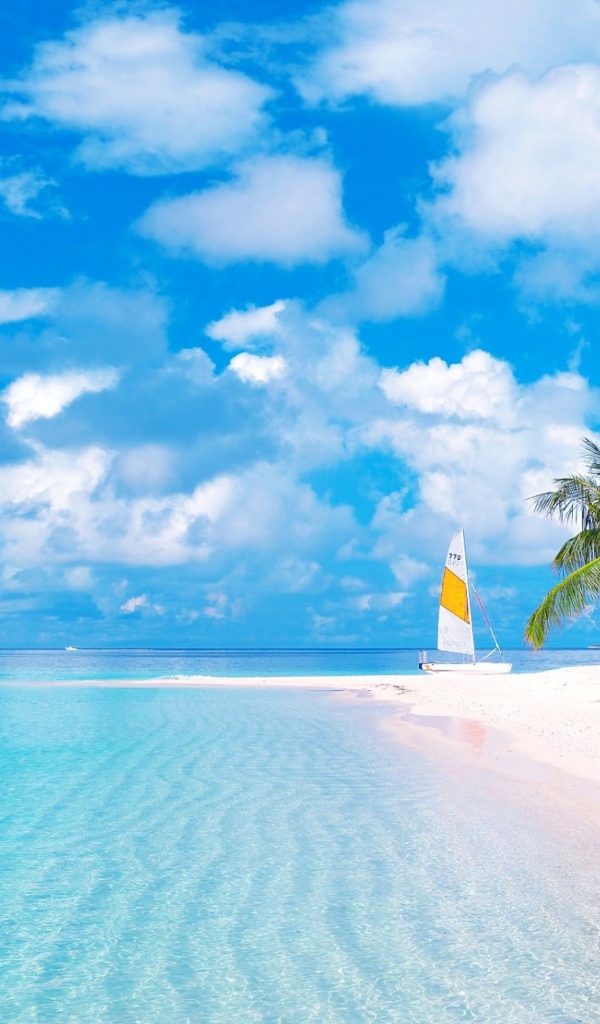 Красивый тропический пляж  с желтым песком под голубым небом