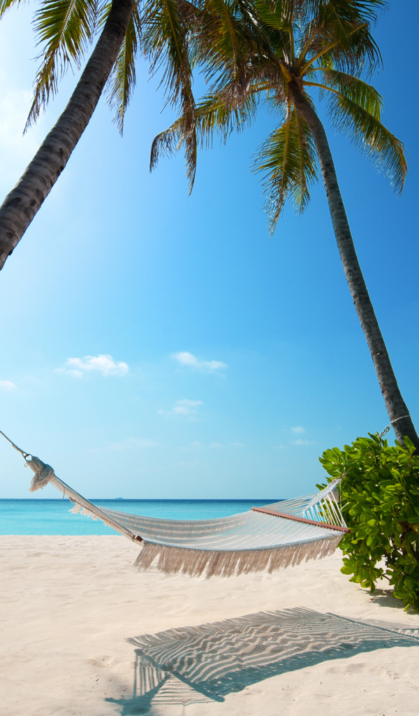 Гамак между пальмами у океана на фоне голубого неба 