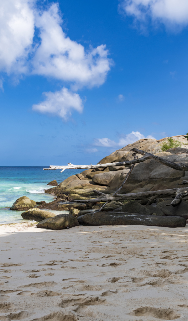 Камни на берегу океана на желтом песке под голубым небом