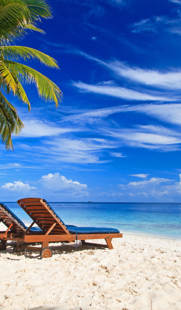 Шезлонги на тропическом пляже под голубым небом
