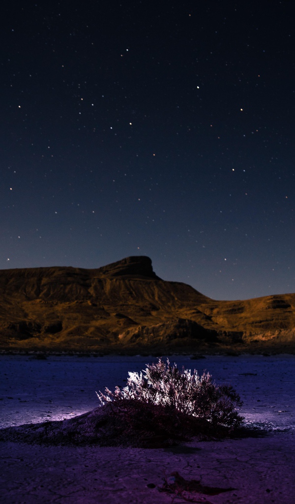 Пустыня у гор под звездным небом ночью