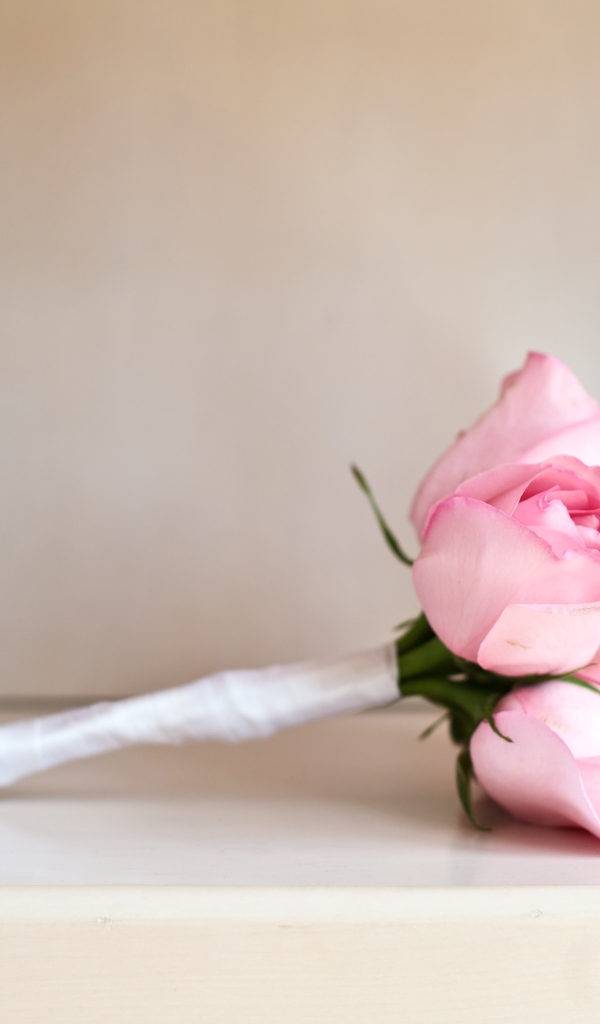 Букет розовых роз лежит на полке с книгами