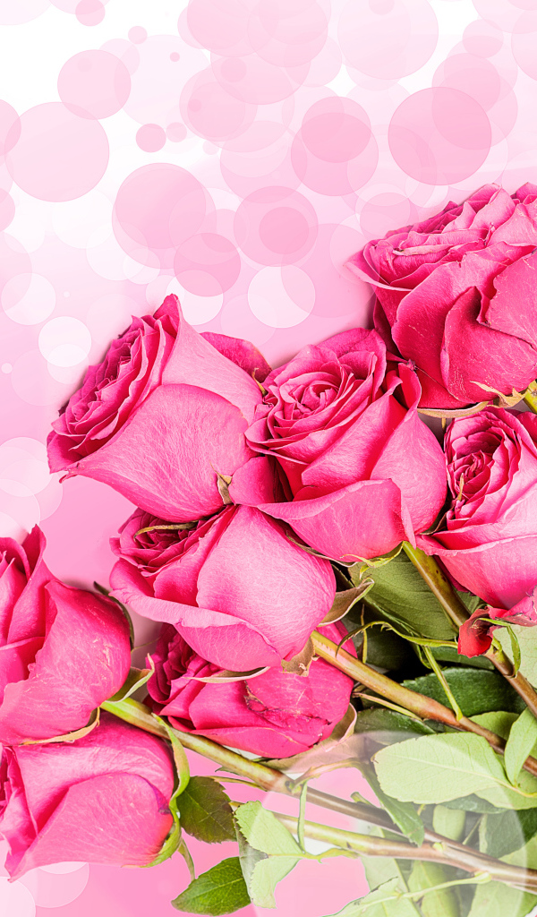 Букет розовых роз на фоне с розовыми кругами 