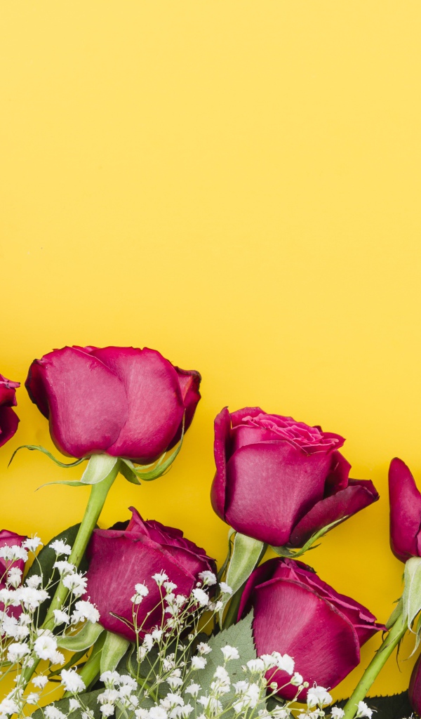 Букет роз с белыми цветами гипсофилы на желтом фоне