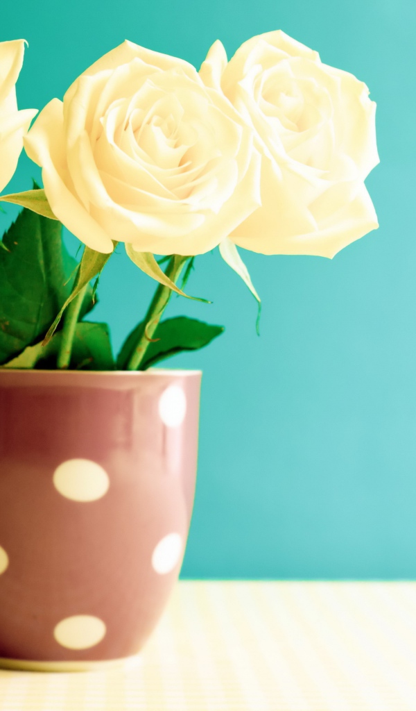 Букет белых роз в вазе на голубом фоне