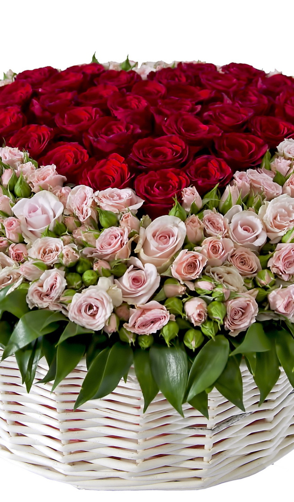 Огромный букет с розовыми и красными розами в корзине на белом фоне