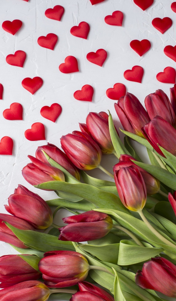 Большой букет красных тюльпанов на белом фоне с маленькими красными сердечками