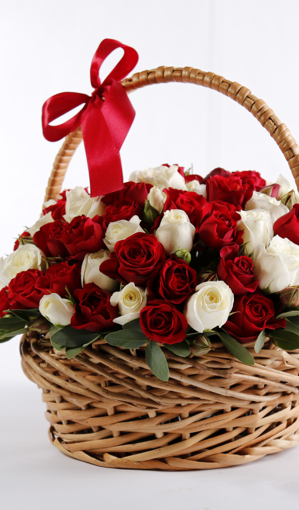 Большой букет роз в корзине в красным бантом на белом фоне