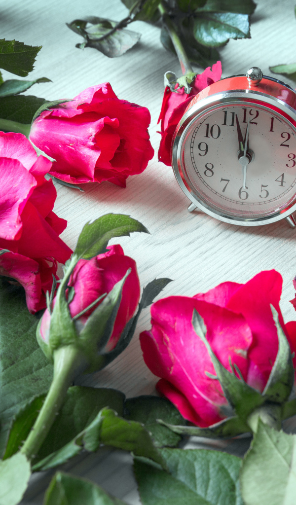 Будильник и красные розы на столе 