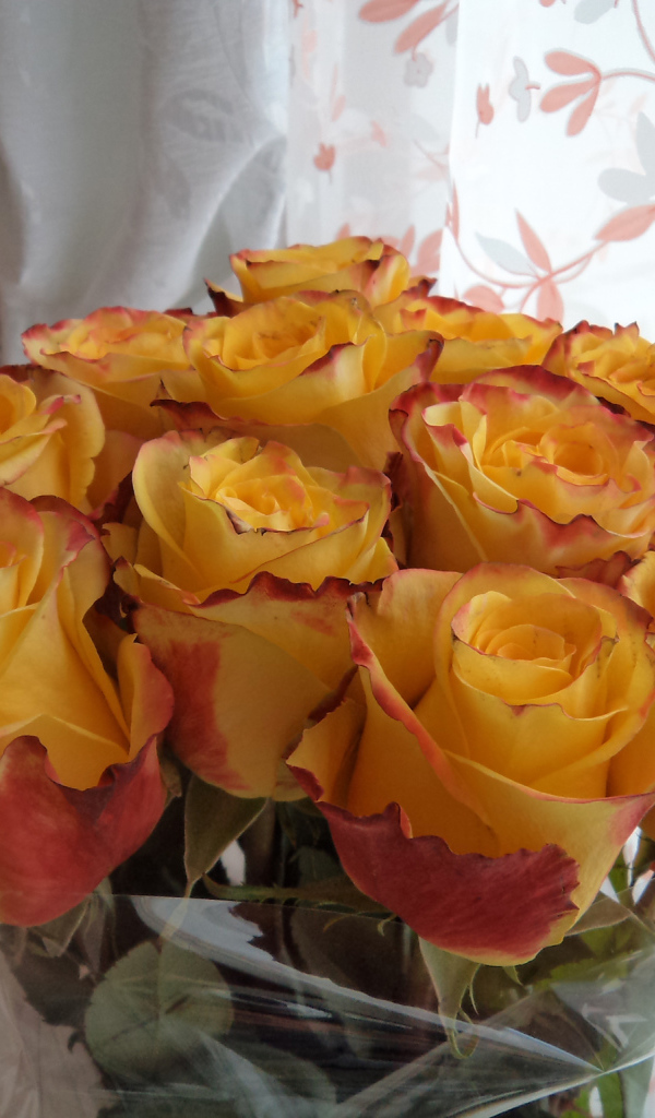 Красивый букет желтых роз в вазе у окна