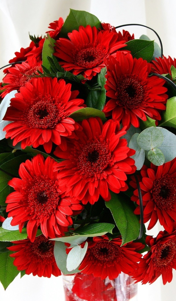 Красивый букет с красными герберами и зелеными листьями 