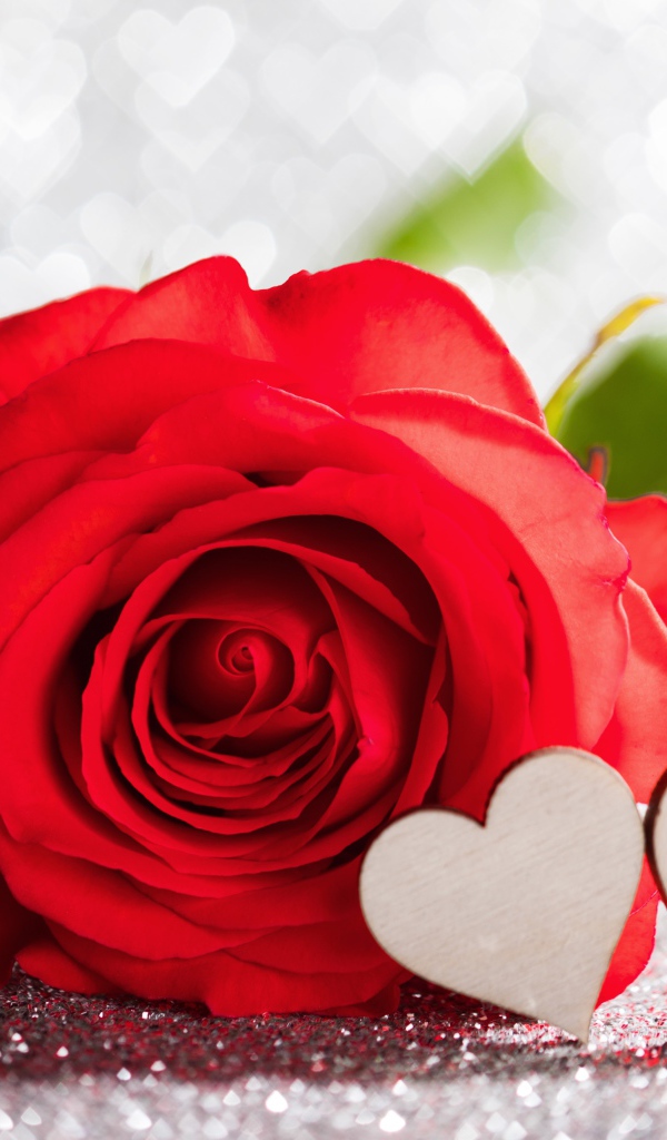 Красивая красная роза с двумя деревянными сердечками