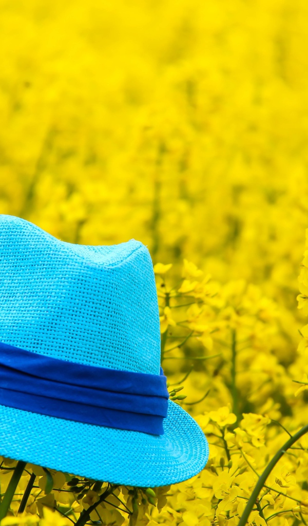 Голубая шляпа лежит на желтых цветах 