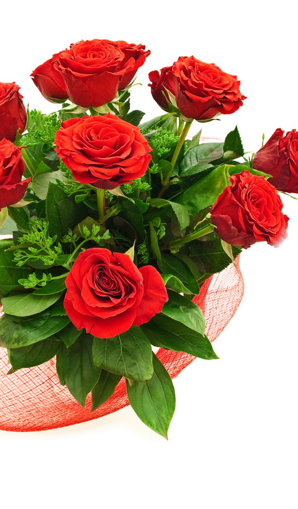 Букет красивых красных роз с зелеными листьями на белом фоне