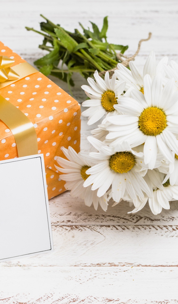 Букет ромашек с подарком и шаблоном для открытки 