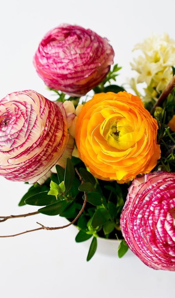 Букет разноцветных лютиков на сером фоне