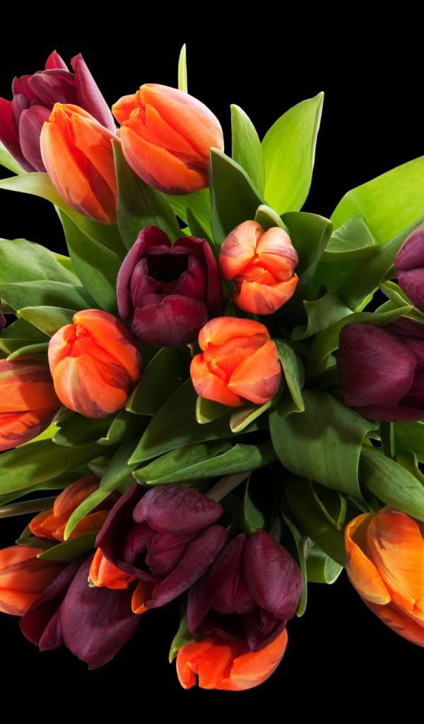 Букет разноцветных тюльпанов на черном фоне
