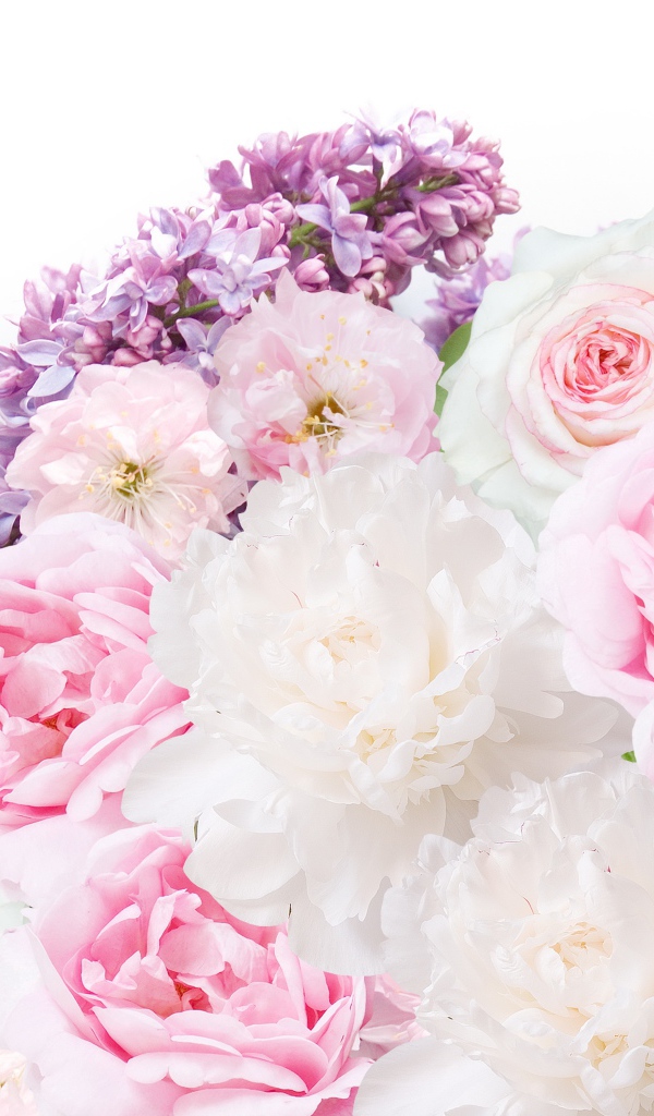 Букет пионов с сиренью на белом фоне