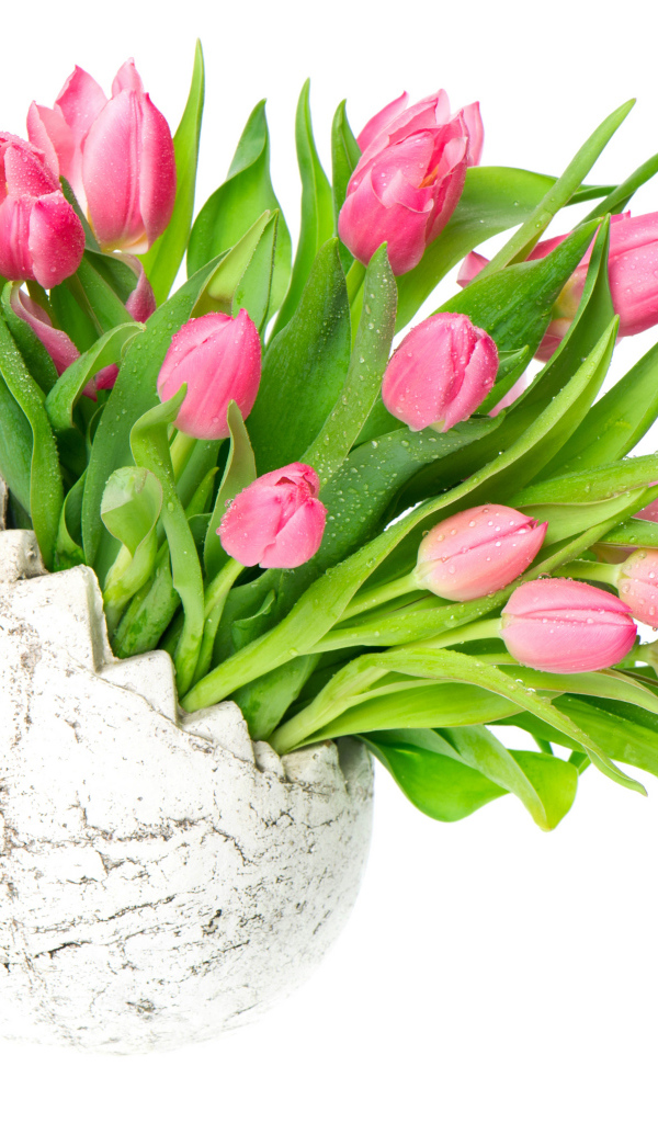 Букет розовых тюльпанов в вазе на белом фоне