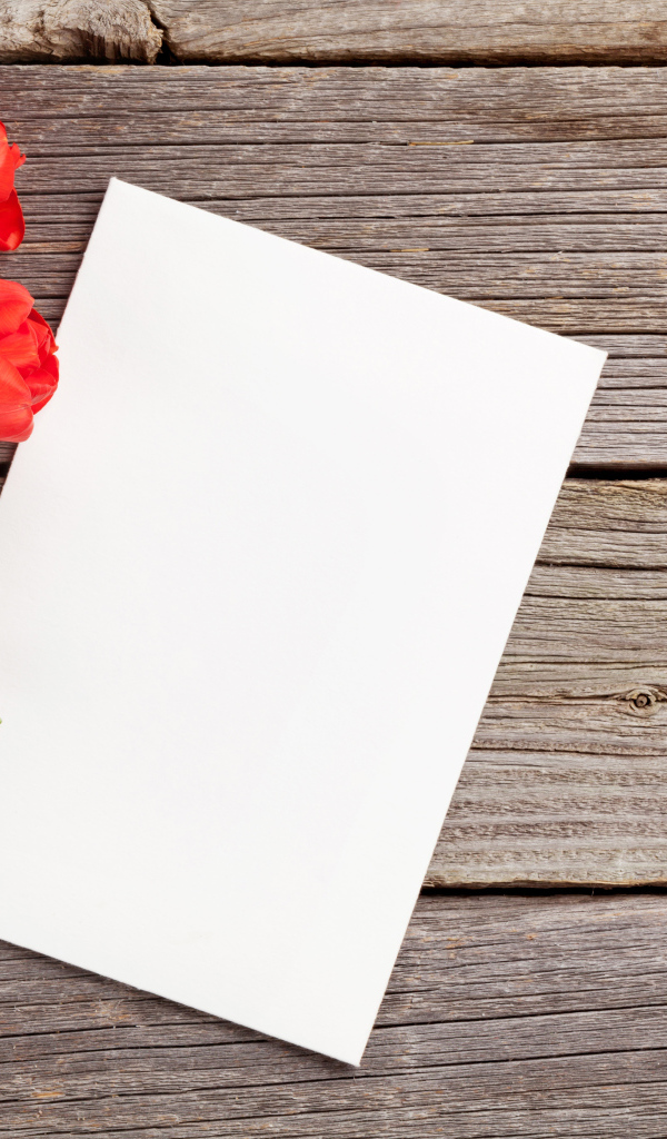 Букет красных тюльпанов с белым листом шаблон для открытки