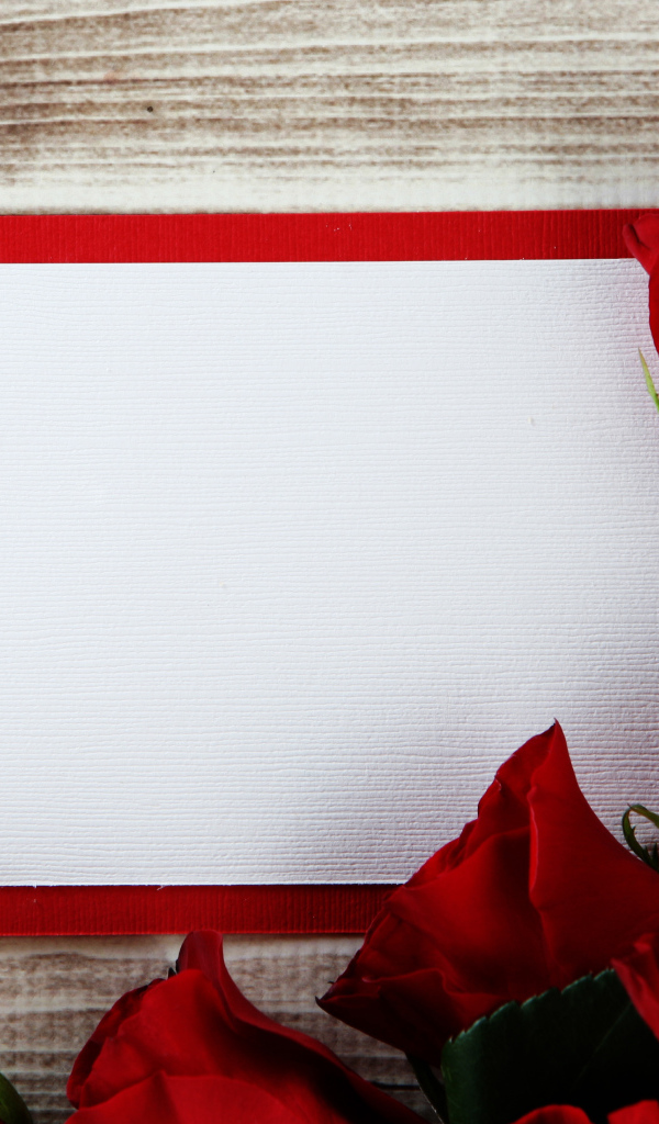 Букет роз  с листом бумаги в рамке фон для поздравительной открытки