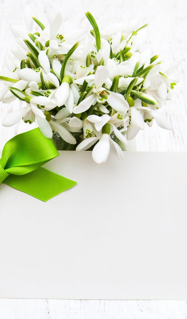 Букет подснежников с открыткой шаблон для поздравительной открытки