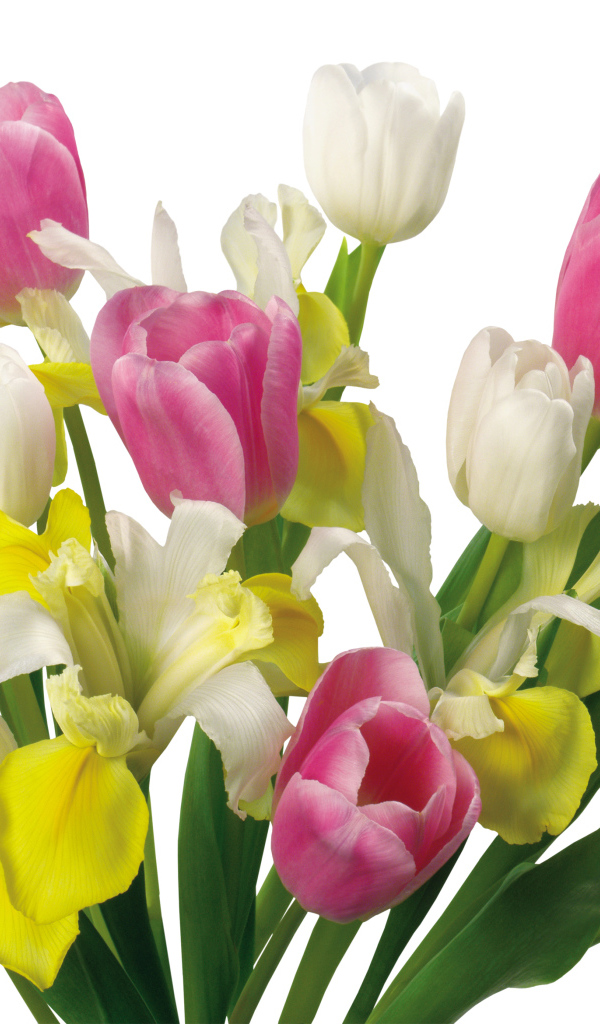 Букет желтых и розовых тюльпанов и ирисами на белом фоне