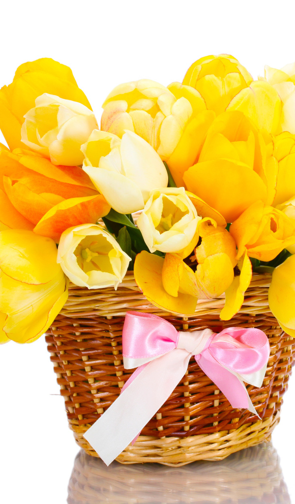 Букет желтых и белых тюльпанов в корзине с розовым бантом на белом фоне
