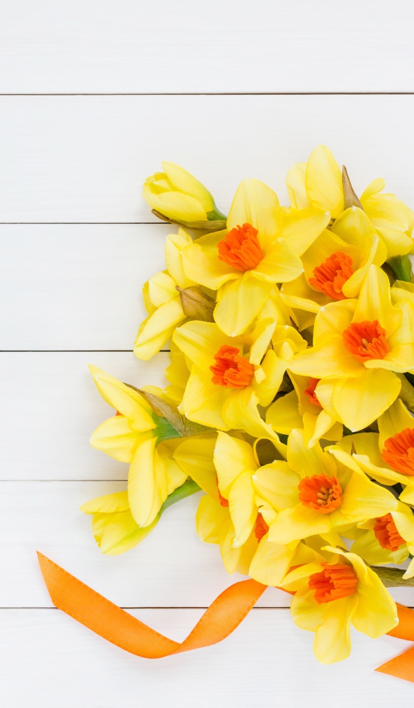 Букет желтых нарциссов с бантом на сером фоне