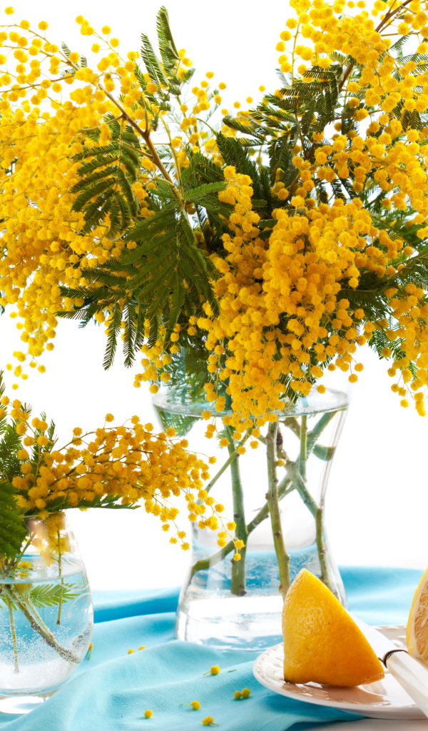 Букет желтой мимозы в вазе на столе с лимоном