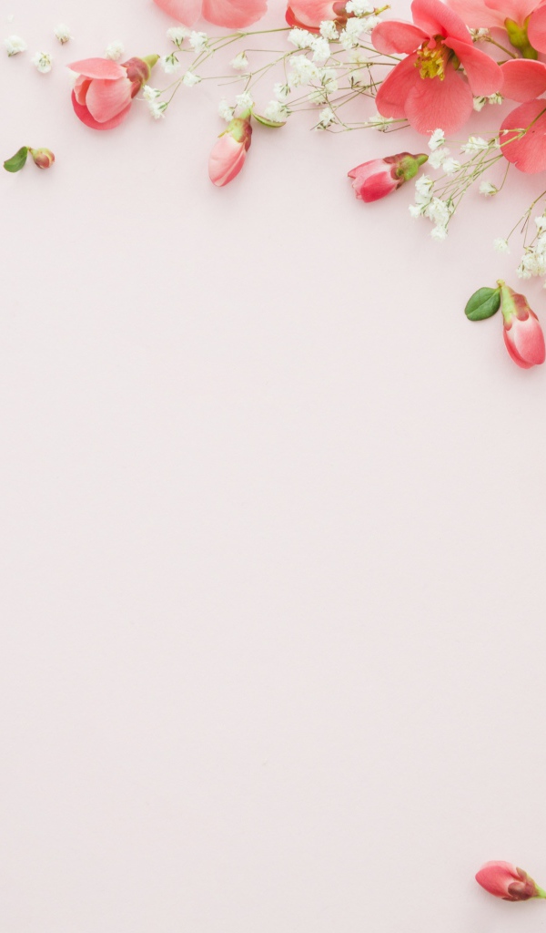 Серый фон с розовыми весенними цветами