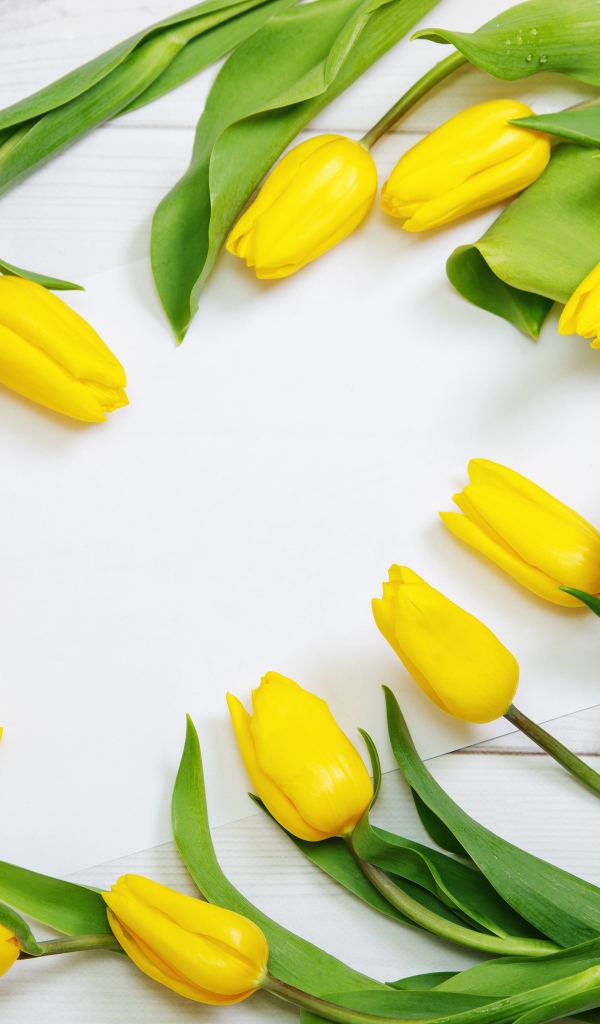 Много желтых тюльпанов с зелеными листьями на сером столе