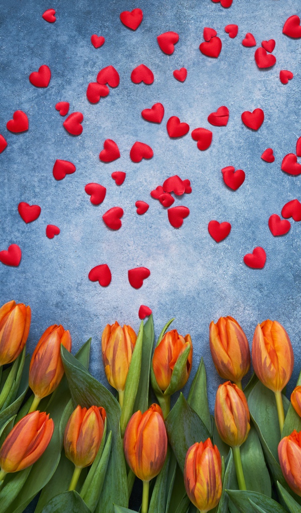Оранжевые тюльпаны на сером фоне с красными сердечками
