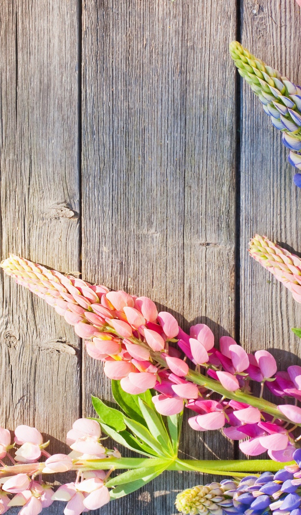 Розовые и синие люпины на деревянном фоне