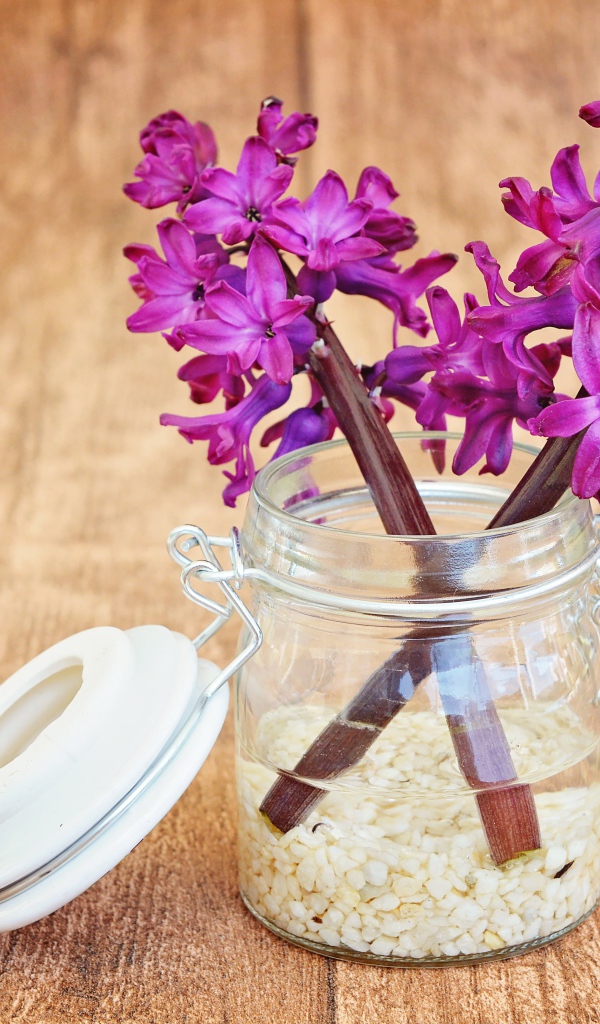 Розовые гиацинты в банке на деревянном столе