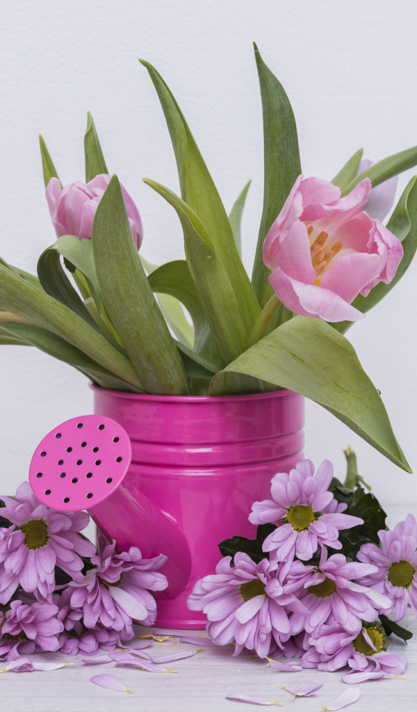 Розовые тюльпаны с цветами хризантемы на сером фоне