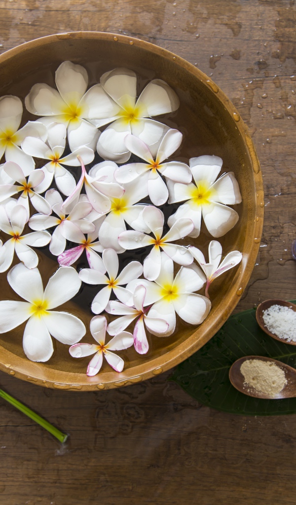 Цветы плюмерии в чаше с водой для SPA процедур 