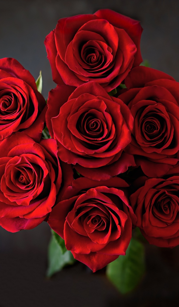 Букет красных роз вид сверху на сером фоне 