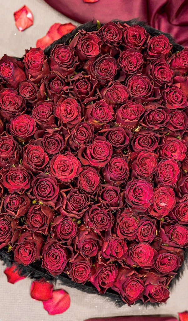 Красные розы в коробке в форме сердца вид сверху