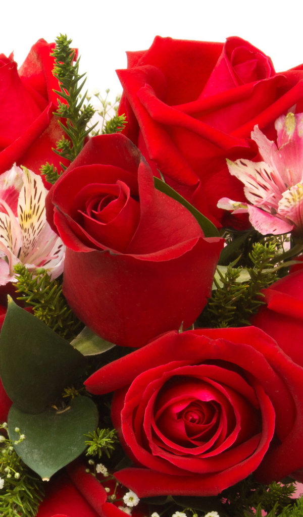 Красные розы с цветами альстромерии на белом фоне