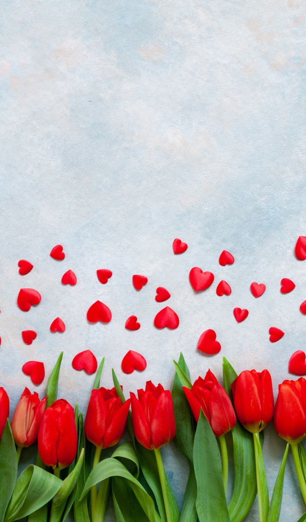 Красные тюльпаны на голубом фоне с красными сердечками