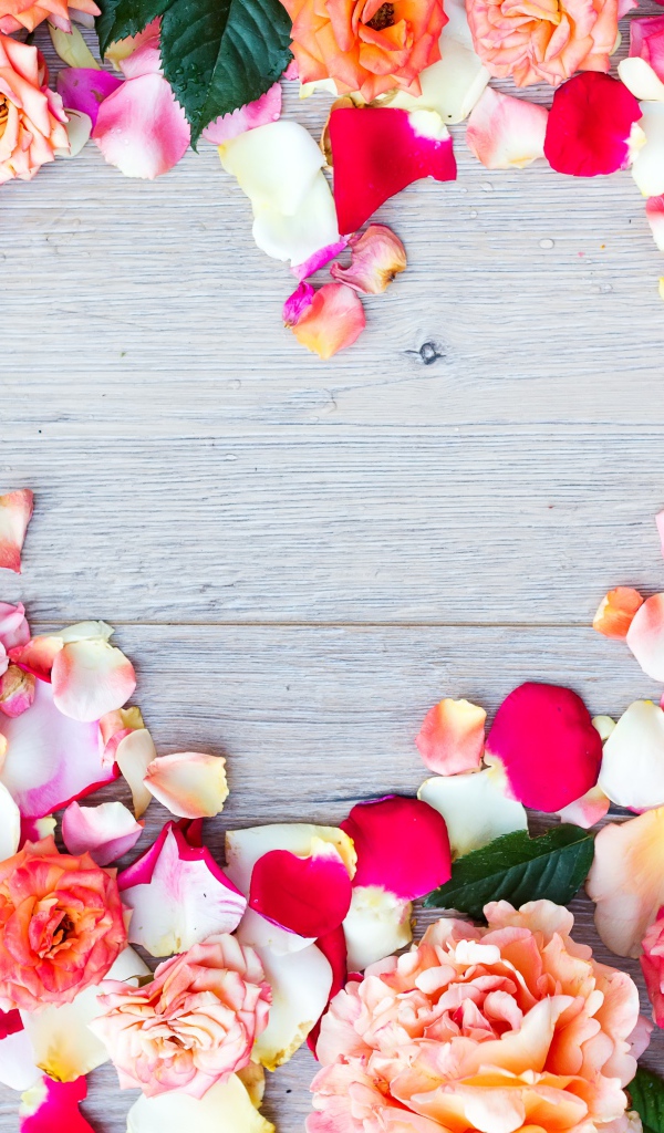 Бутоны роз на сером фоне крупным планом