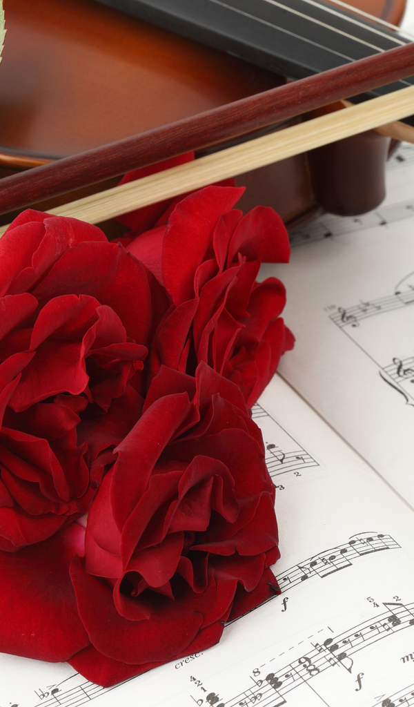 Три красных розы на нотах со скрипкой 