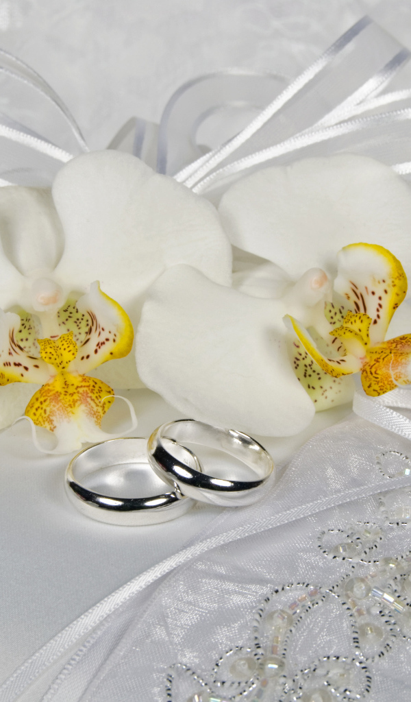 Два серебряных обручальных кольца с белыми цветами орхидеи