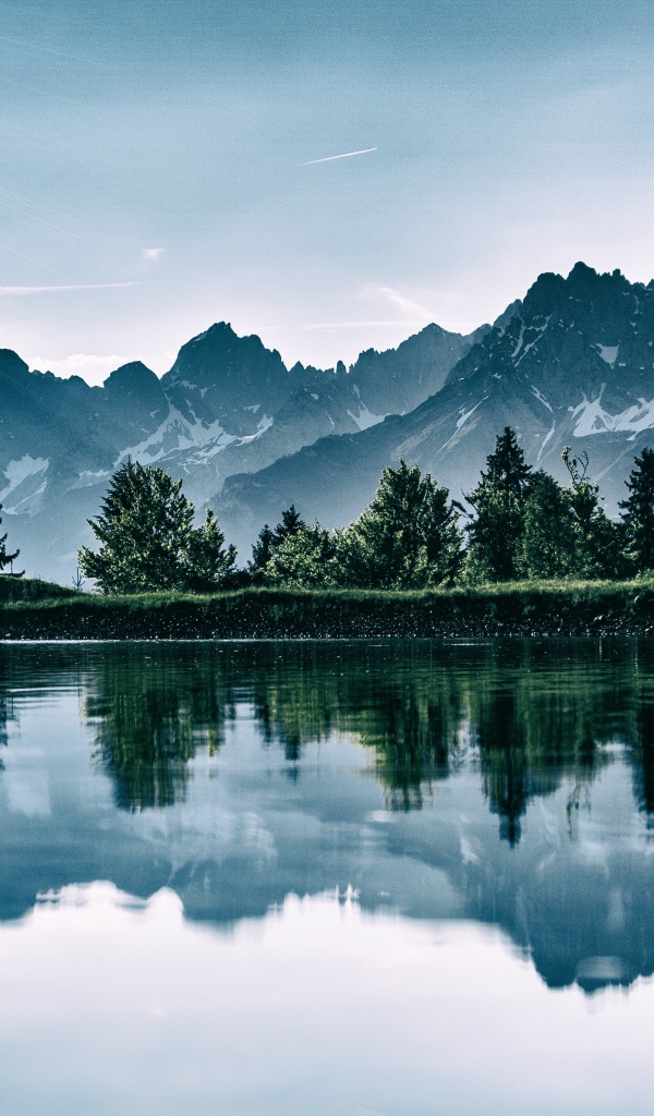 Горы и зеленый лес отражаются в воде