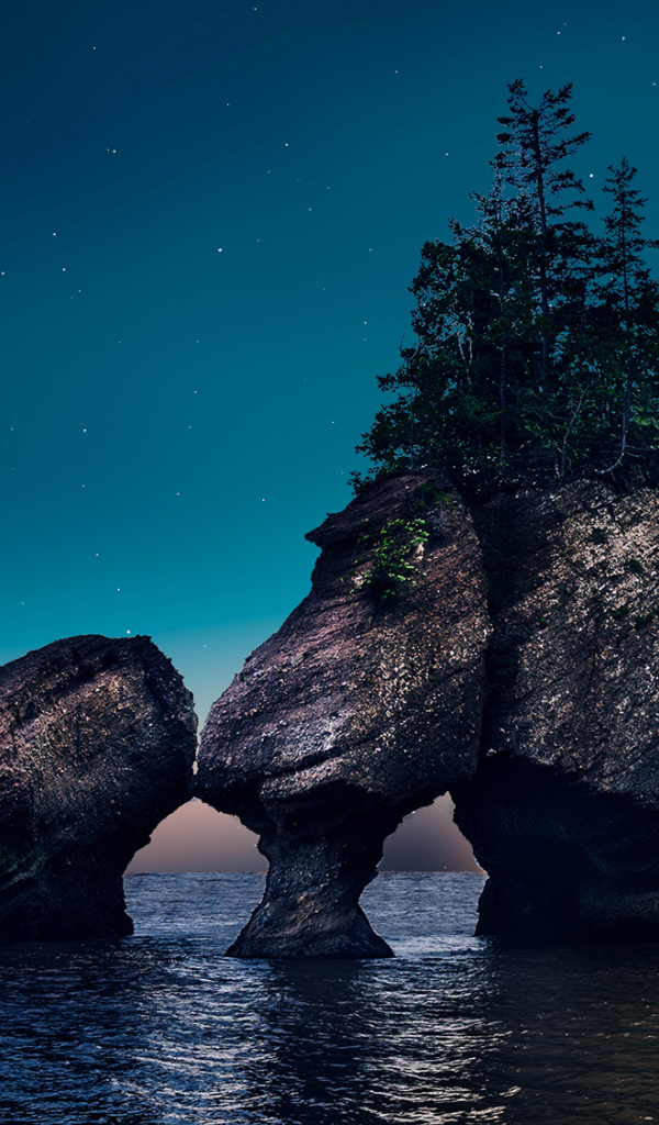 Скалы с деревьями в воде ночью 