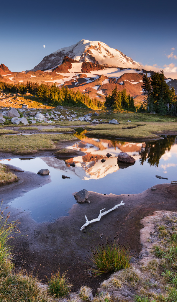 Заснеженная гора  у леса под голубым небом в лучах солнца