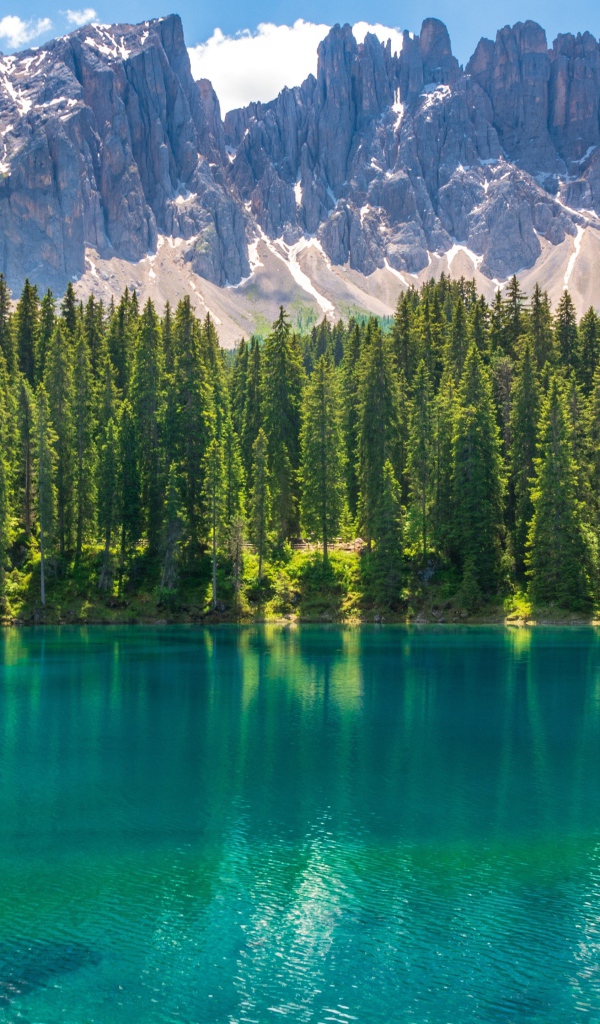 Красивое озеро с голубой водой у хвойного леса на фоне гор