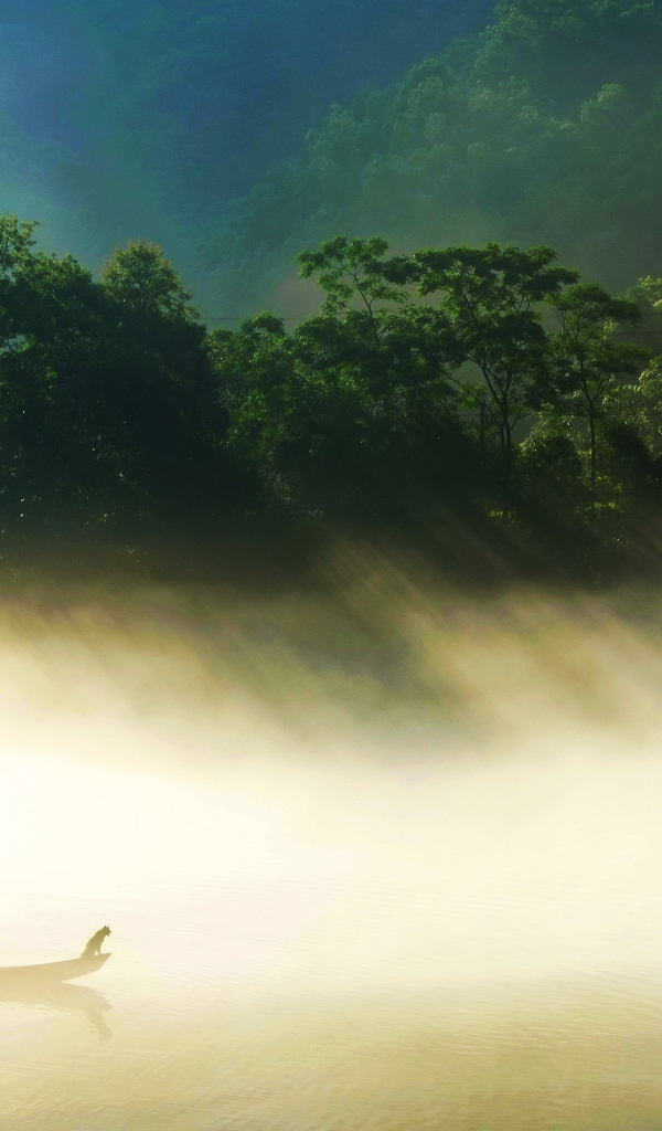 Лодка на туманном озере в лучах солнца 