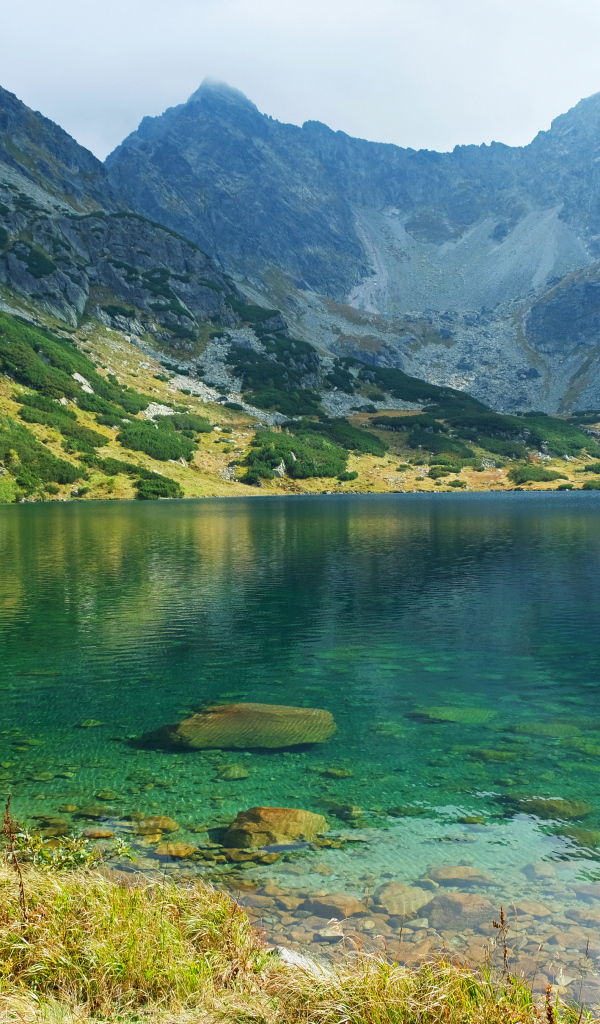 Озеро с чистой водой у подножия высоких гор